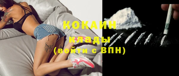 соль ск Алзамай