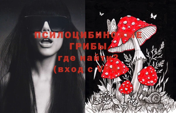 МДМА Алексин