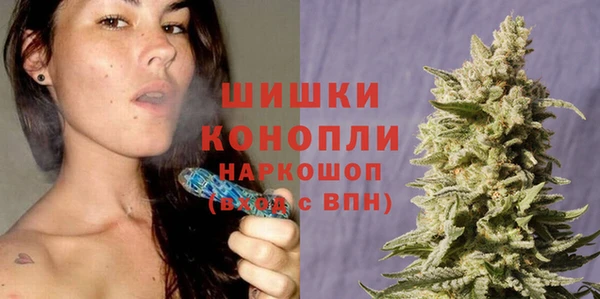 соль ск Алзамай