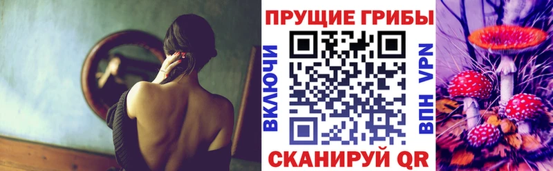 Псилоцибиновые грибы Psilocybine cubensis  что такое наркотик  Заозёрный 